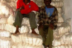 Bwengu food supply
